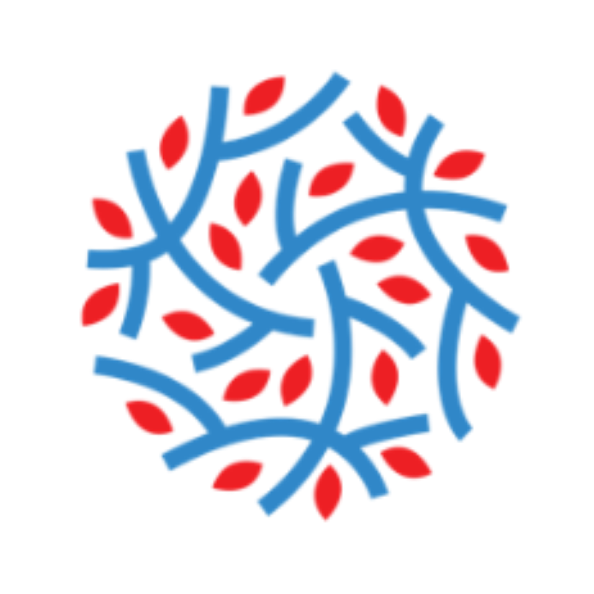 Bumi-Research Sdn Bhd logo